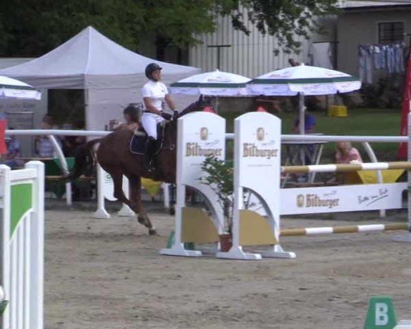 Summer Meeting Hachenburg 2015