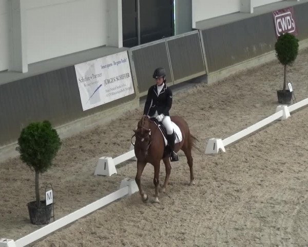Reitturnier Mönchengladbach-Abtshof 2015