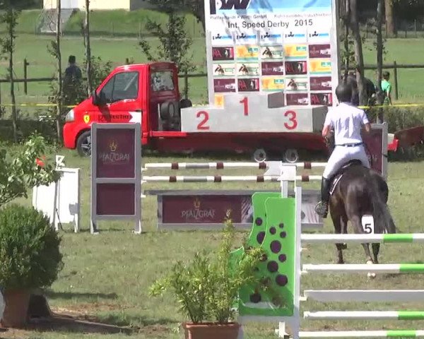 Reitturnier Pfullendorf 2015
