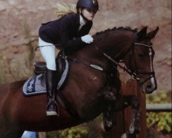 dressage horse Chresina (Holsteiner, 2006, from Cassini II)