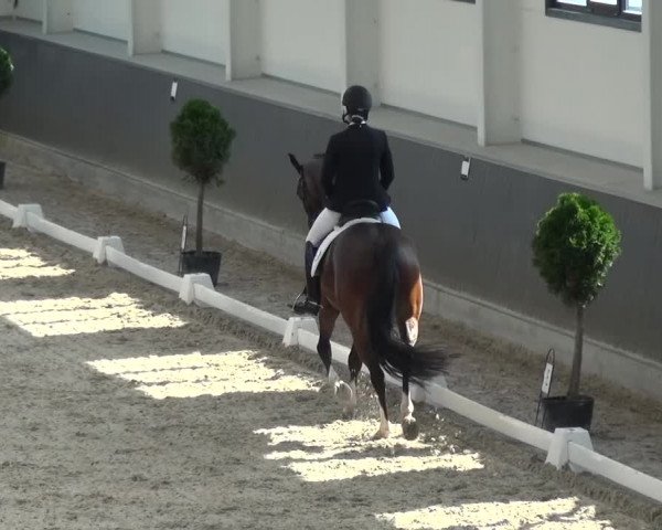 Reitturnier Mönchengladbach-Abtshof 2015