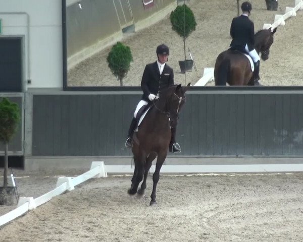 Reitturnier Mönchengladbach-Abtshof 2015