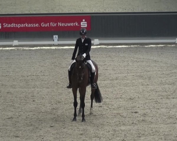 Reitturnier Mönchengladbach-Abtshof 2015