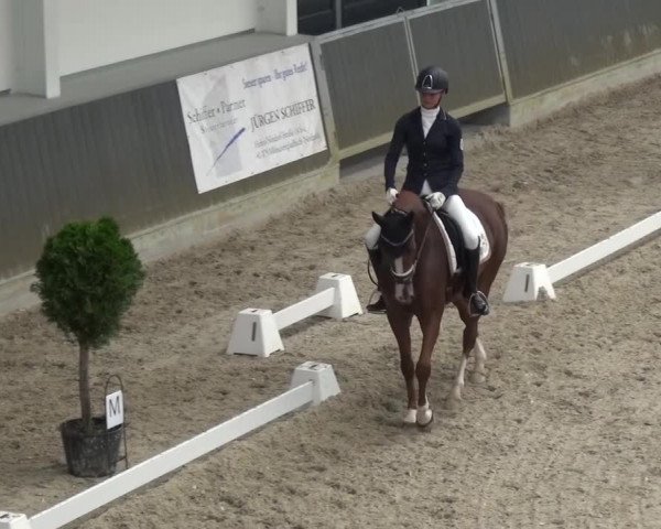 Reitturnier Mönchengladbach-Abtshof 2015