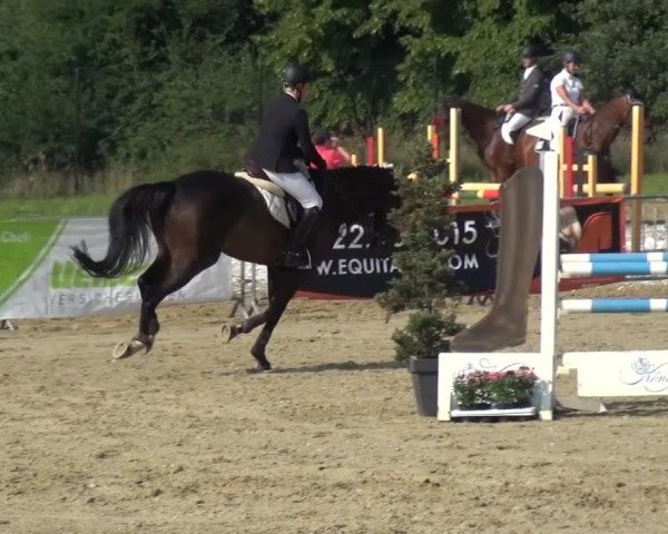 Reitturnier Mönchengladbach-Abtshof 2015
