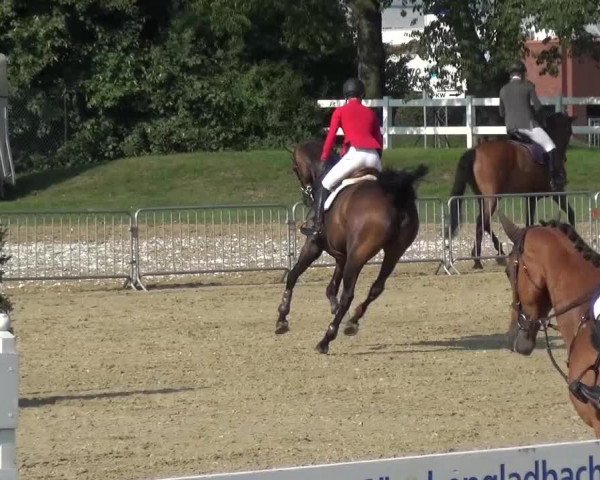 Reitturnier Mönchengladbach-Abtshof 2015