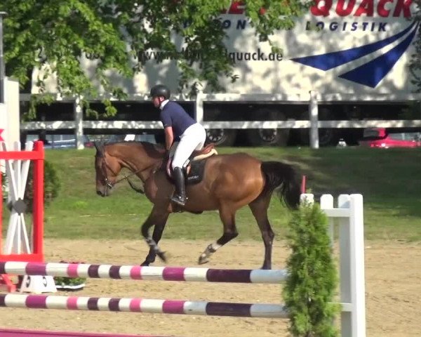 Reitturnier Mönchengladbach-Abtshof 2015