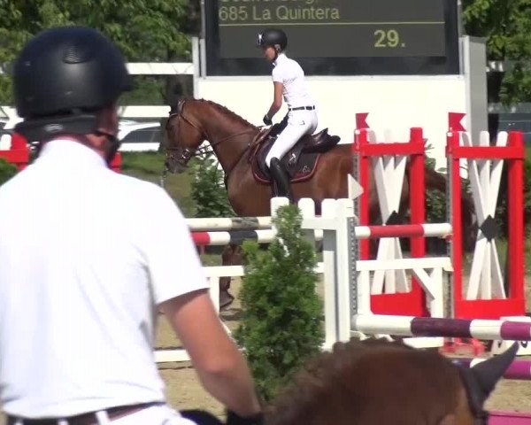 Reitturnier Mönchengladbach-Abtshof 2015