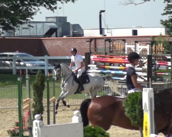 Reitturnier Mönchengladbach-Abtshof 2015