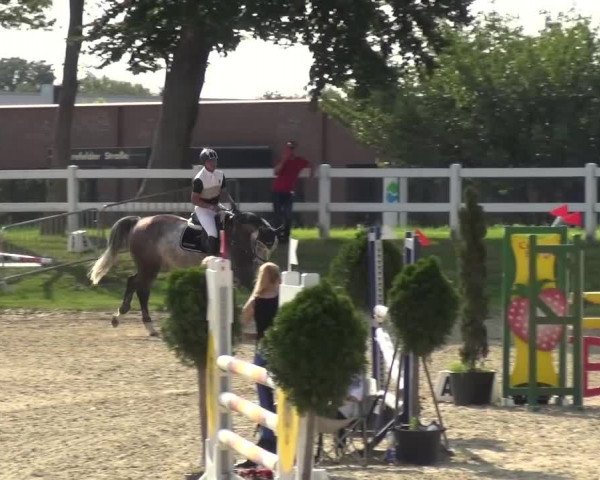 Reitturnier Mönchengladbach-Abtshof 2015