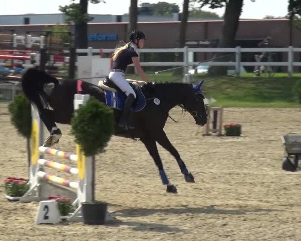 Reitturnier Mönchengladbach-Abtshof 2015