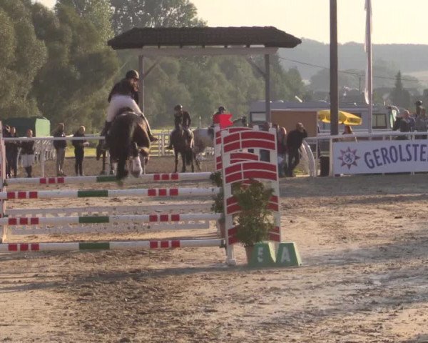 Summer Meeting Hachenburg 2015