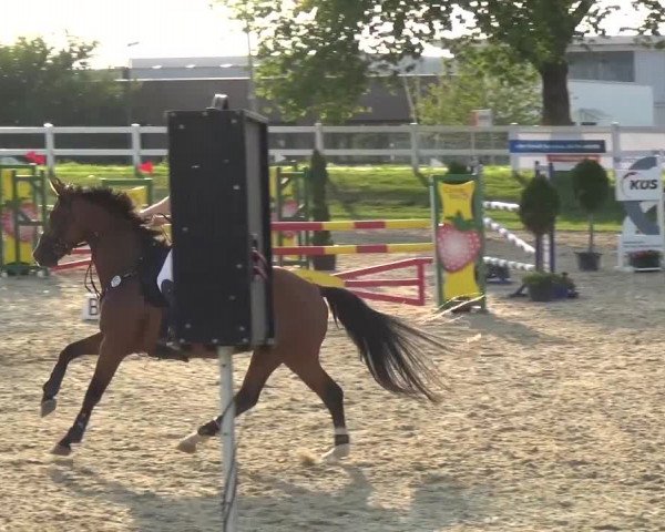 Reitturnier Mönchengladbach-Abtshof 2015