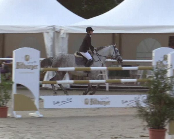 Summer Meeting Hachenburg 2015