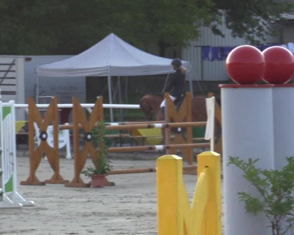 Summer Meeting Hachenburg 2015