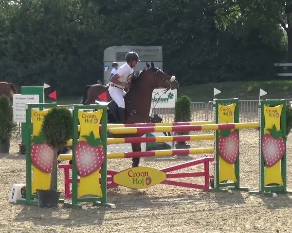 Reitturnier Mönchengladbach-Abtshof 2015