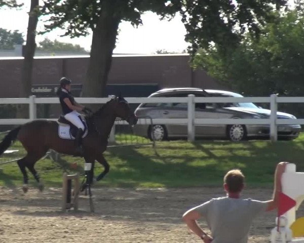 Reitturnier Mönchengladbach-Abtshof 2015