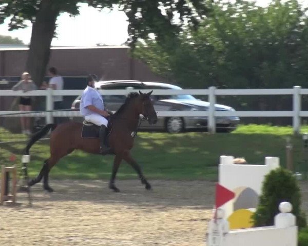 Reitturnier Mönchengladbach-Abtshof 2015
