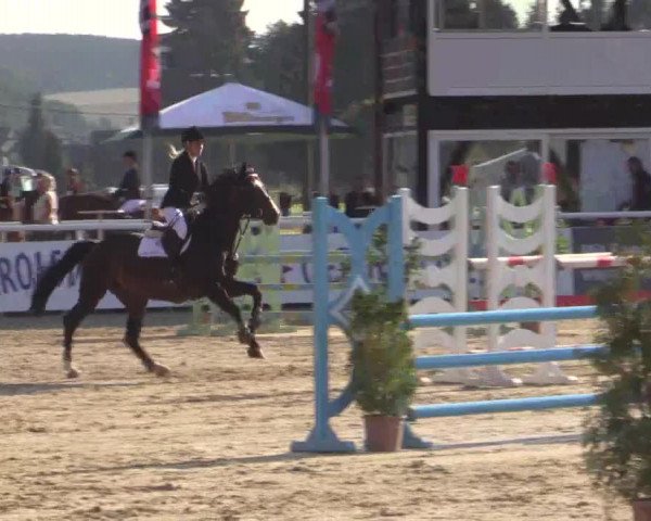 Summer Meeting Hachenburg 2015
