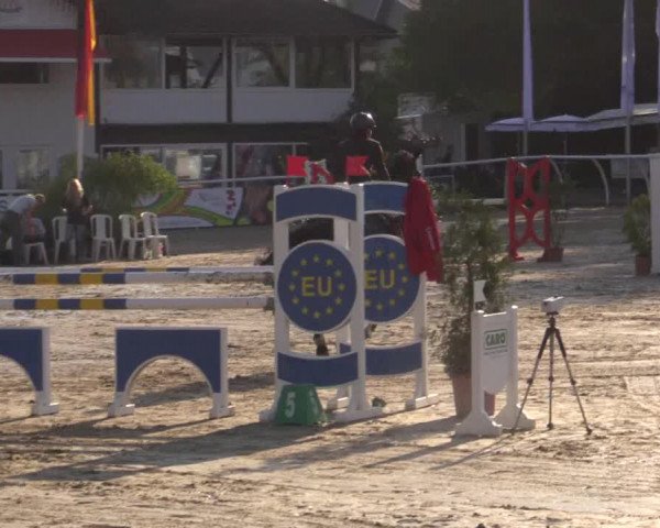 Summer Meeting Hachenburg 2015