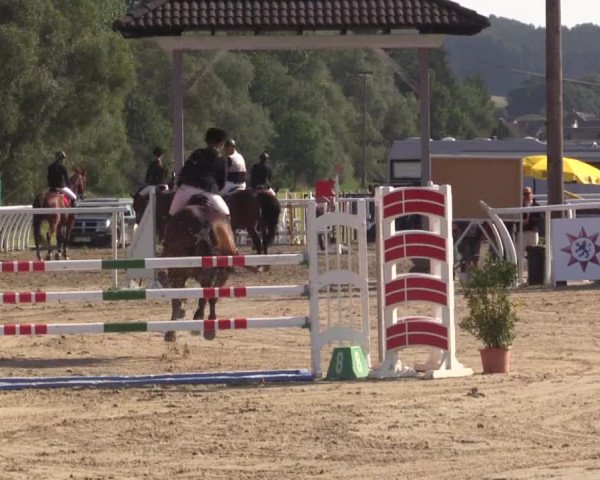 Summer Meeting Hachenburg 2015
