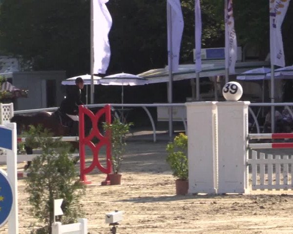 Summer Meeting Hachenburg 2015