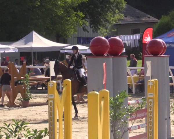 Summer Meeting Hachenburg 2015