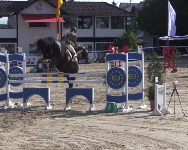 Summer Meeting Hachenburg 2015
