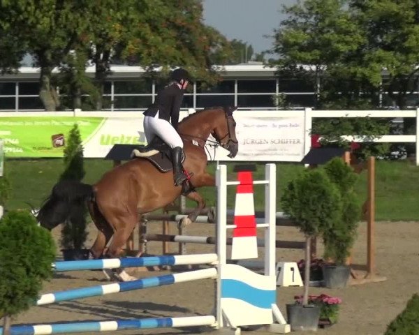 Reitturnier Mönchengladbach-Abtshof 2015