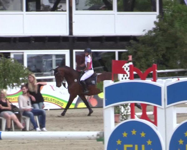 Summer Meeting Hachenburg 2015