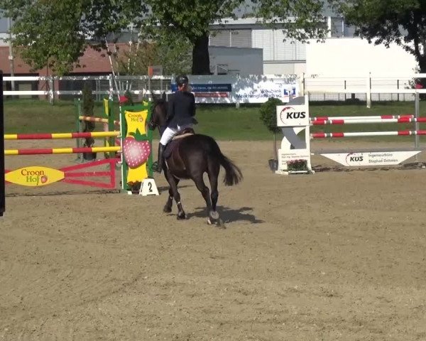 Reitturnier Mönchengladbach-Abtshof 2015