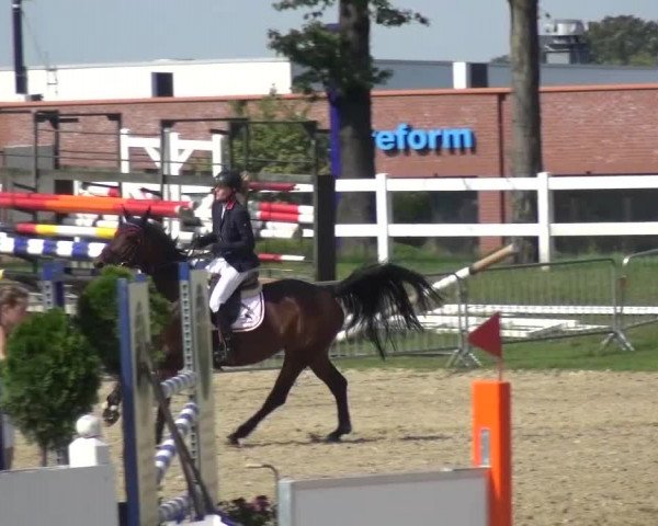 Reitturnier Mönchengladbach-Abtshof 2015