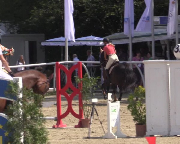 Summer Meeting Hachenburg 2015
