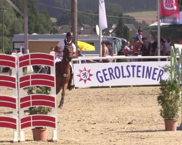 Summer Meeting Hachenburg 2015