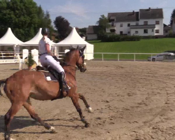 Summer Meeting Hachenburg 2015
