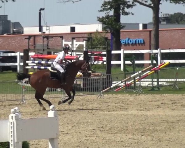 Reitturnier Mönchengladbach-Abtshof 2015