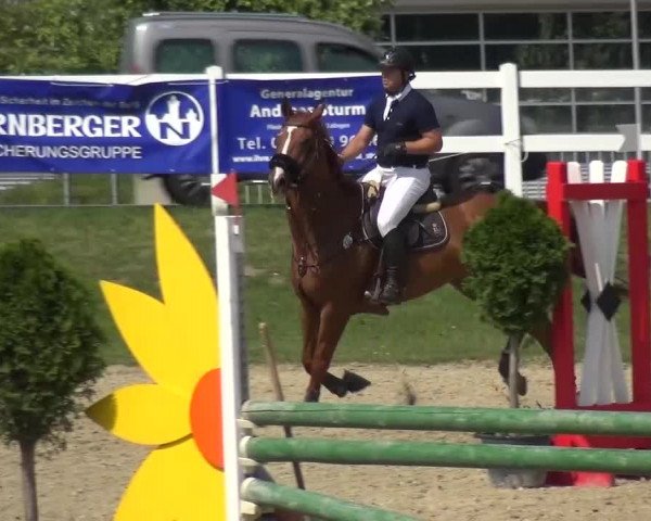 Reitturnier Mönchengladbach-Abtshof 2015