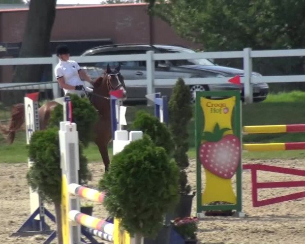 Reitturnier Mönchengladbach-Abtshof 2015