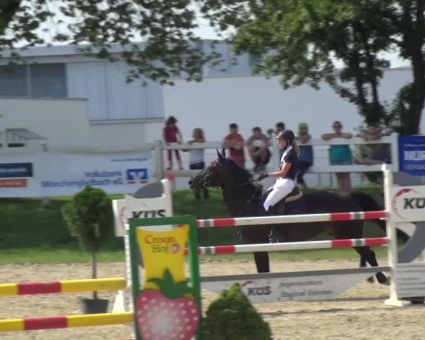 Reitturnier Mönchengladbach-Abtshof 2015