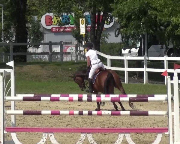 Reitturnier Mönchengladbach-Abtshof 2015