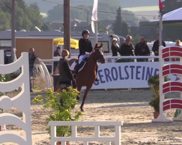 Summer Meeting Hachenburg 2015