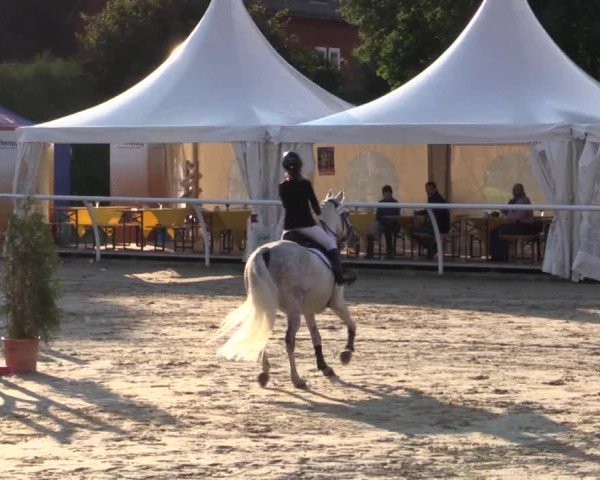 Summer Meeting Hachenburg 2015