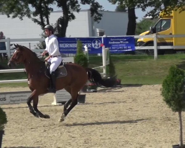 Reitturnier Mönchengladbach-Abtshof 2015