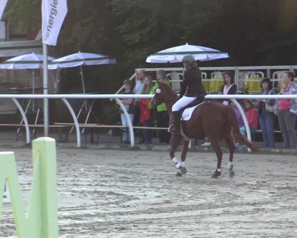 Summer Meeting Hachenburg 2015