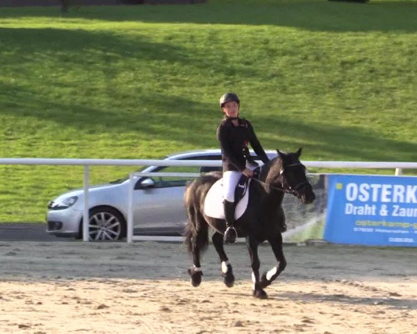 Summer Meeting Hachenburg 2015
