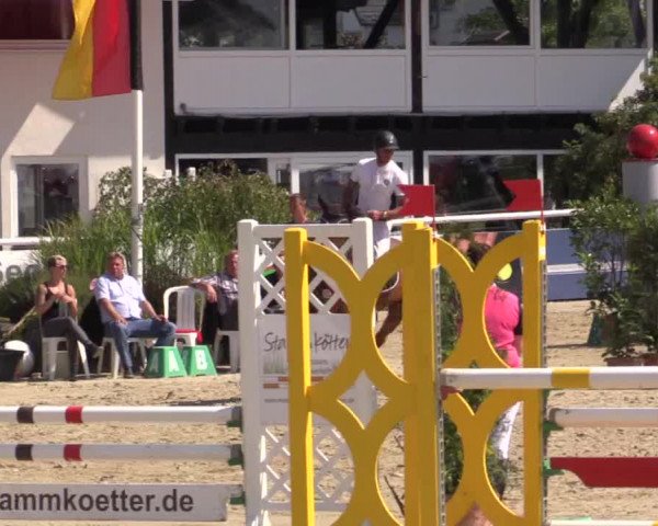 Summer Meeting Hachenburg 2015