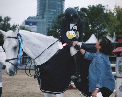 Springpferd Gucci van den Horst (Belgisches Warmblut, 2006, von VDL Cardento 933)