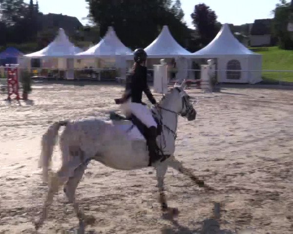 Summer Meeting Hachenburg 2015