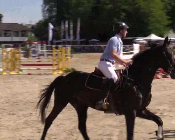 Summer Meeting Hachenburg 2015