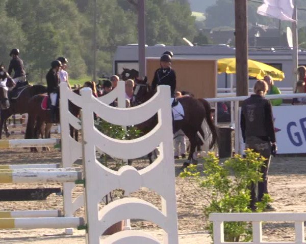 Summer Meeting Hachenburg 2015